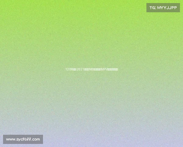 12.88万的 2021款传祺M8白色中大型MPV郑州车，值吗？